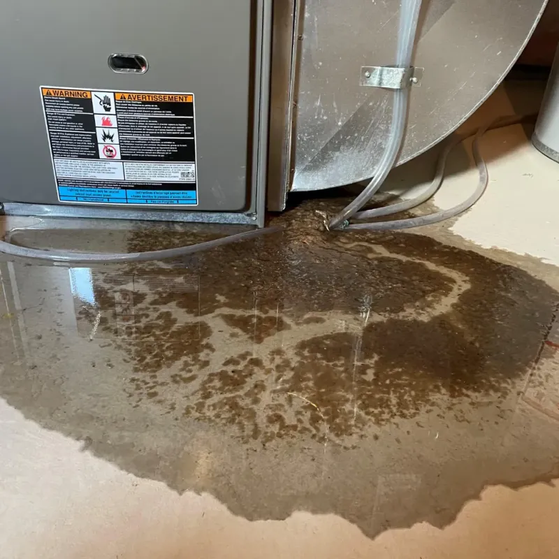 Appliance Leak Cleanup in Etowah, NC